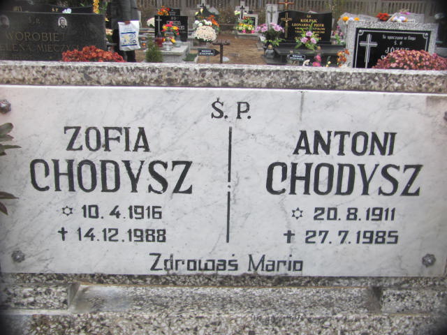 Zofia Chodysz 1916 Krzyż Wielkopolski - Grobonet - Wyszukiwarka osób pochowanych