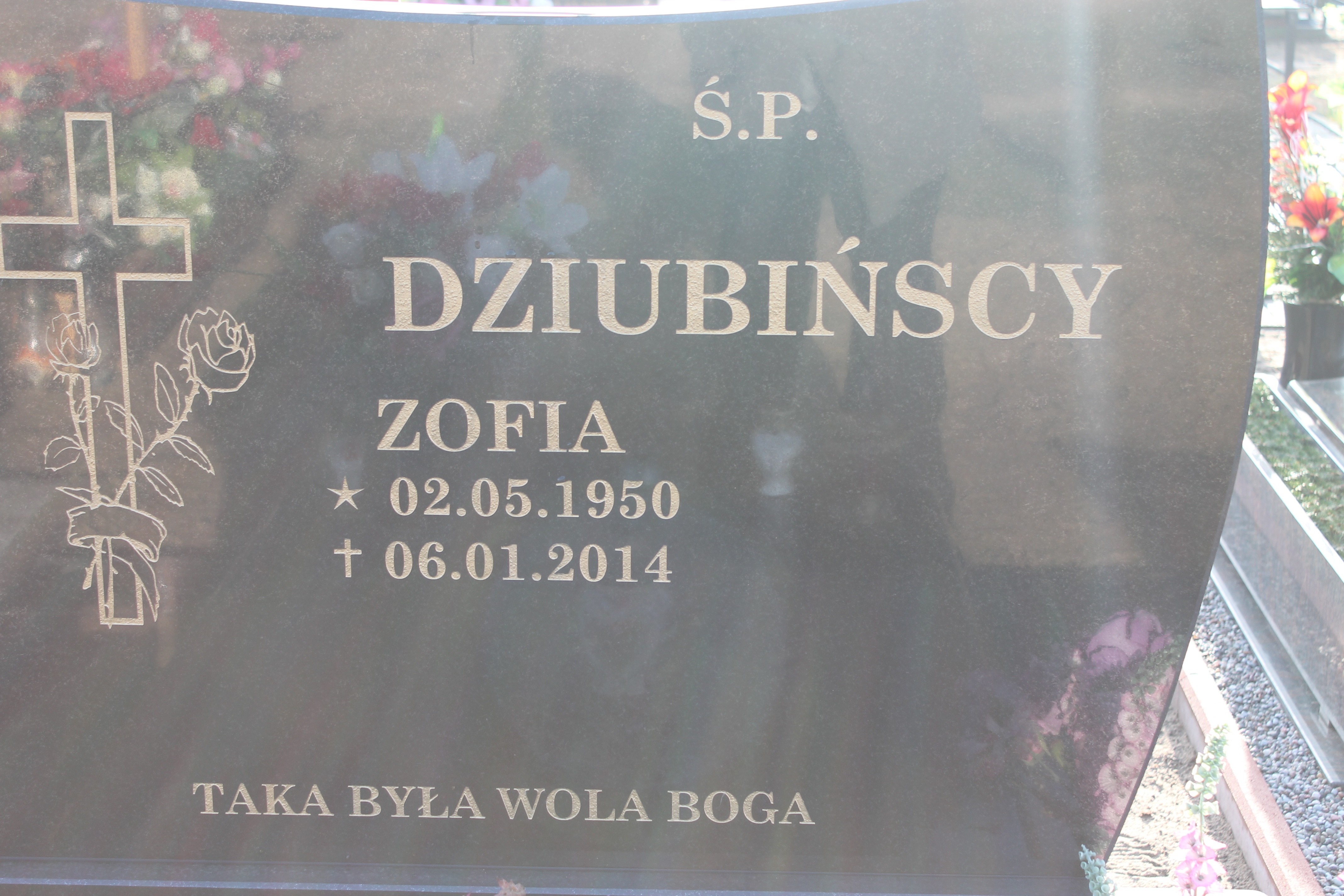 Zofia Dziubińska 1950 Krzyż Wielkopolski - Grobonet - Wyszukiwarka osób pochowanych